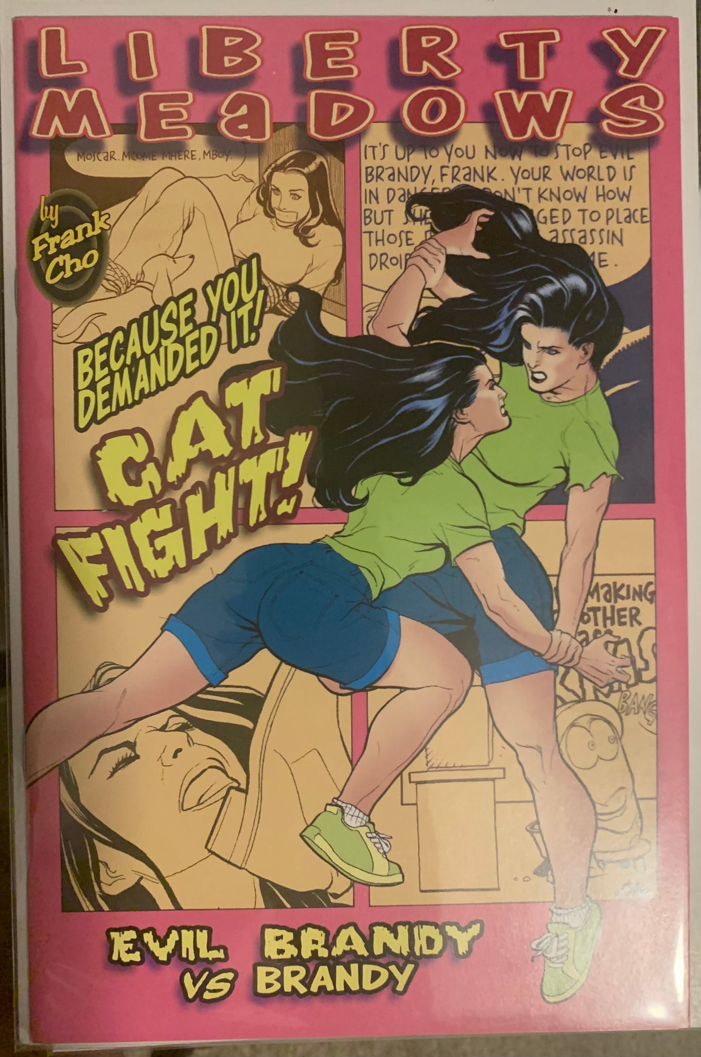 Comic book cover with a woman fighting herself on a pink background. Evil Brandy vs Brandy.